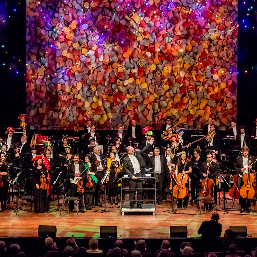 De Limburger Vastelaovend concerten 2019